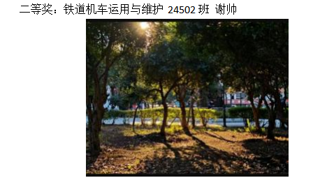 青春光影,定格武科职美好瞬间 ——世界杯官网2026年校园摄影大赛圆满收官 青春光影,定格武科职美好瞬间 ——世界杯官网2026年校园摄影大赛圆满收官