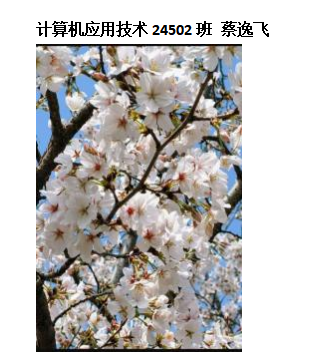 青春光影,定格武科职美好瞬间 ——世界杯官网2026年校园摄影大赛圆满收官 青春光影,定格武科职美好瞬间 ——世界杯官网2026年校园摄影大赛圆满收官