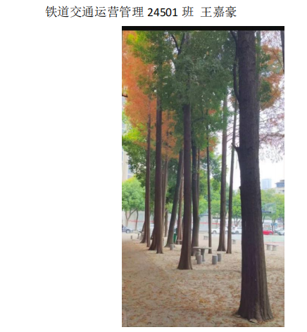 青春光影,定格武科职美好瞬间 ——世界杯官网2026年校园摄影大赛圆满收官 青春光影,定格武科职美好瞬间 ——世界杯官网2026年校园摄影大赛圆满收官