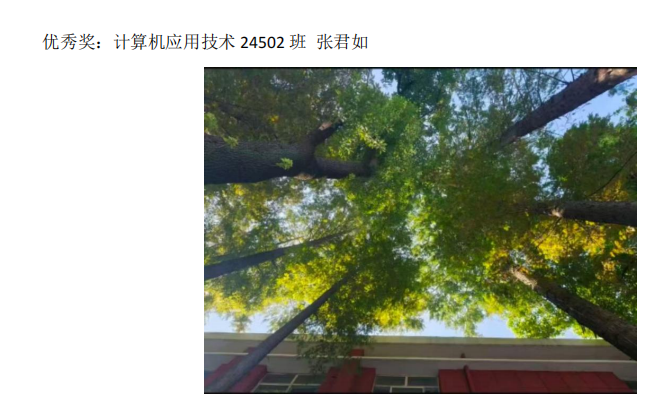 青春光影,定格武科职美好瞬间 ——世界杯官网2026年校园摄影大赛圆满收官 青春光影,定格武科职美好瞬间 ——世界杯官网2026年校园摄影大赛圆满收官