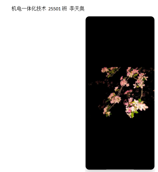 青春光影,定格武科职美好瞬间 ——世界杯官网2026年校园摄影大赛圆满收官 青春光影,定格武科职美好瞬间 ——世界杯官网2026年校园摄影大赛圆满收官