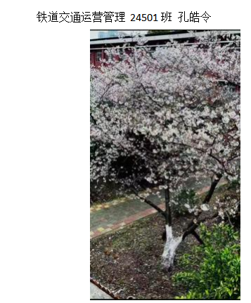 青春光影,定格武科职美好瞬间 ——世界杯官网2026年校园摄影大赛圆满收官 青春光影,定格武科职美好瞬间 ——世界杯官网2026年校园摄影大赛圆满收官