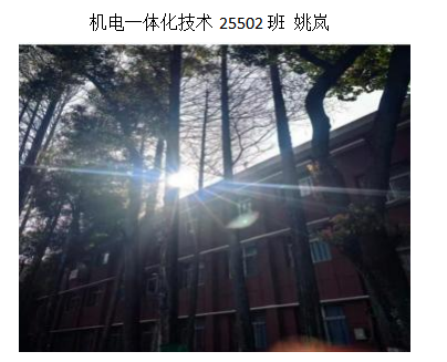 青春光影,定格武科职美好瞬间 ——世界杯官网2026年校园摄影大赛圆满收官 青春光影,定格武科职美好瞬间 ——世界杯官网2026年校园摄影大赛圆满收官