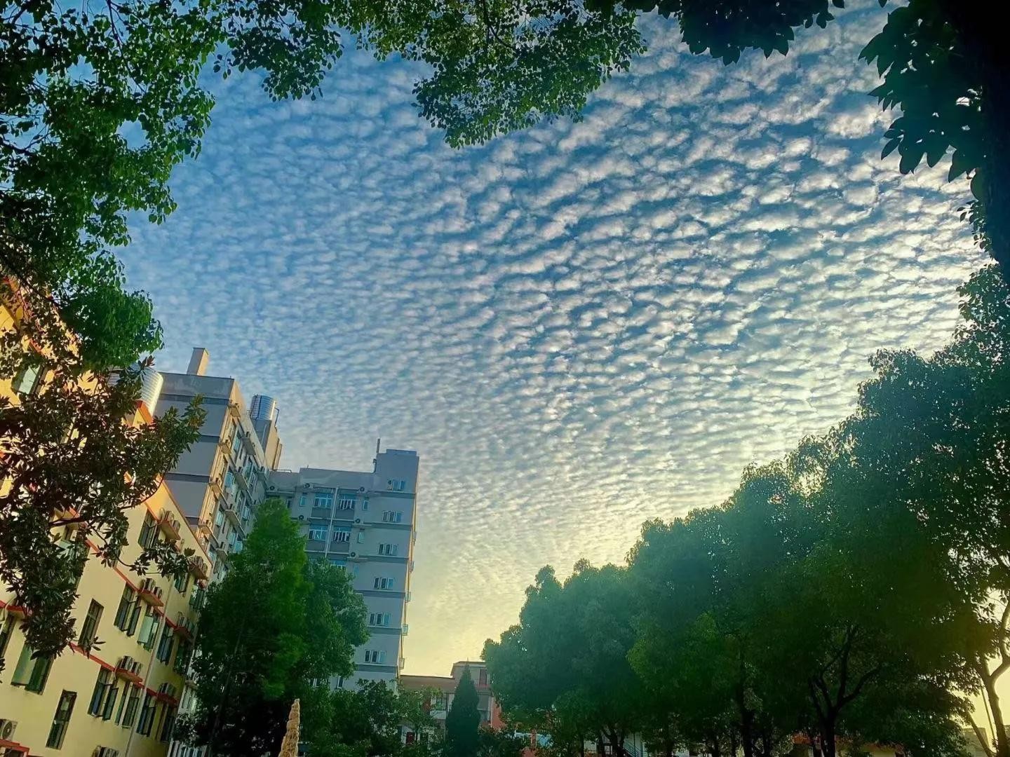 毕业进国企，福利好，待遇高；世界杯官网学生很“清高